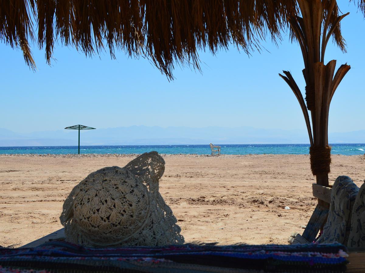 Hotel Sakratah Camp - Eco Friendly à Taba Extérieur photo