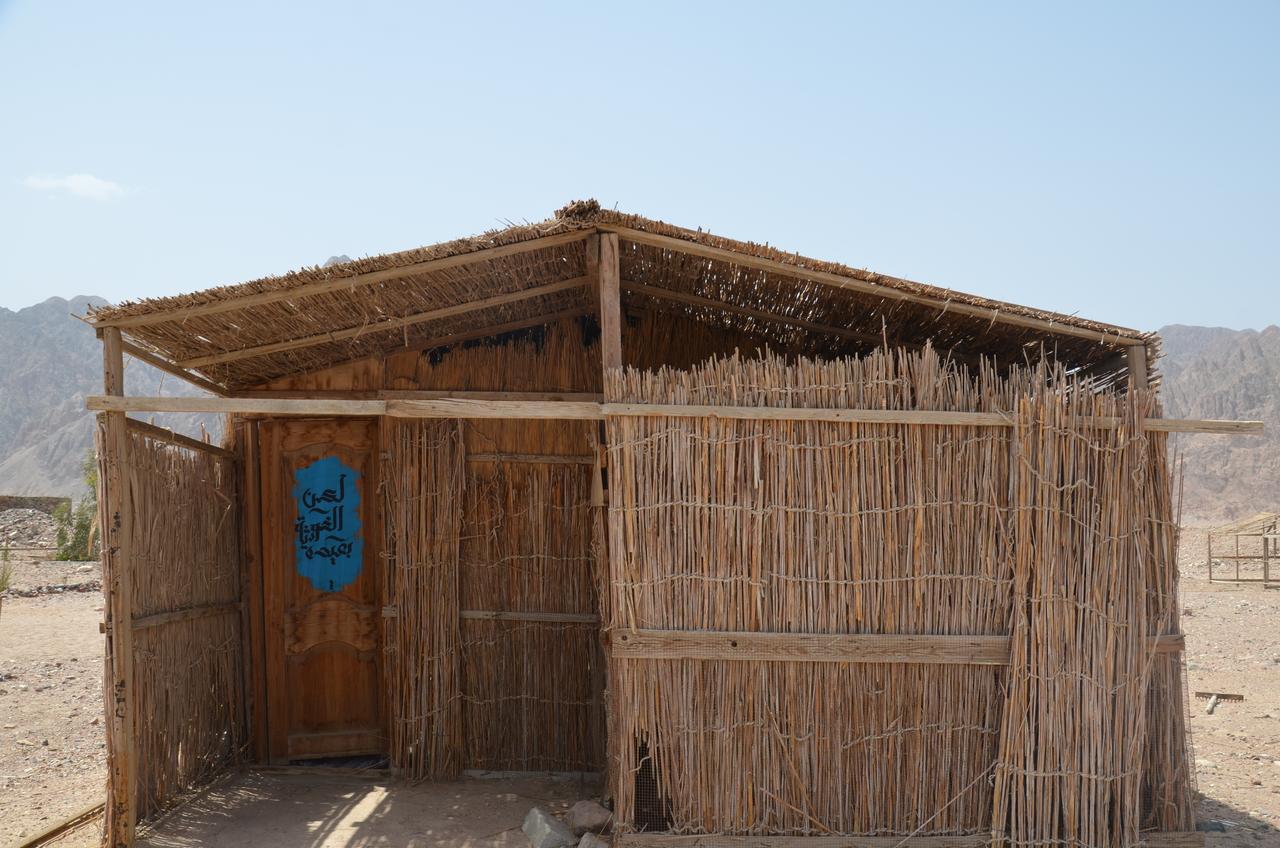 Hotel Sakratah Camp - Eco Friendly à Taba Extérieur photo